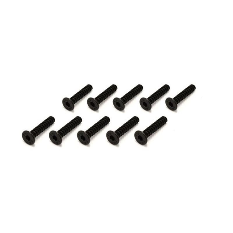 TP HEX FLAT-HEAD SCREWS 3X15MM (10)