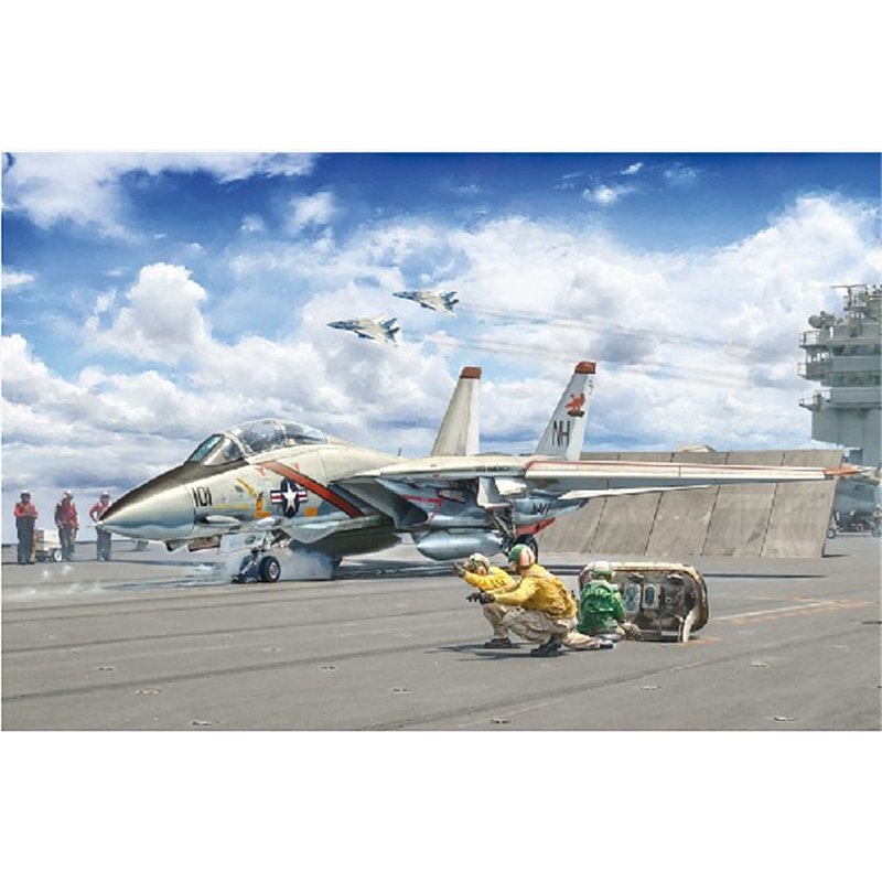 1:72 F-14A "Tomcat" 