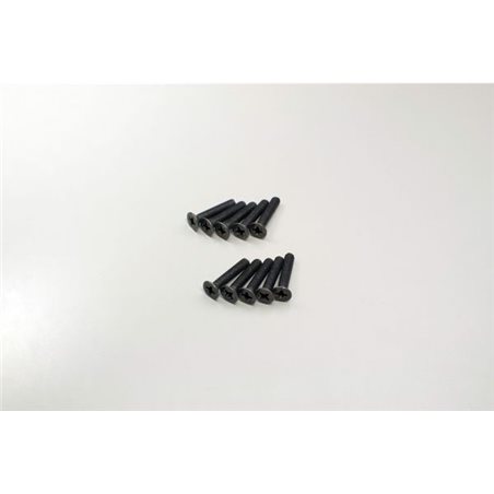 FLAT HEAD 3X16MM METALLIC SCREWS (10)