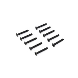 Hex Flat Head Screws 3x22mm (10)