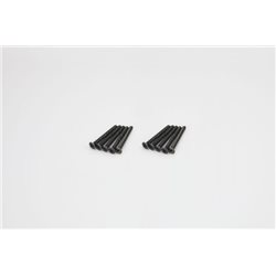 FLAT HEAD 3X30MM METALLIC SCREWS (10)