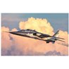 1:72 Sepecat Jaguar T.3