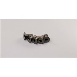 TITAN HEX FLAT HEAD SCREWS 4X10MM (5)