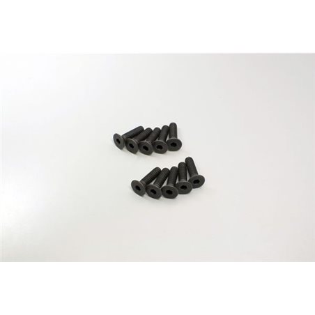 Hex Flat Head Screws 4x15mm (10)