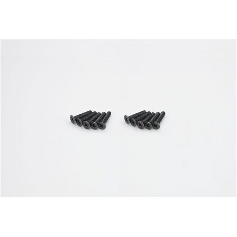 FLAT HEAD 4X20MM METALLIC SCREWS (10)