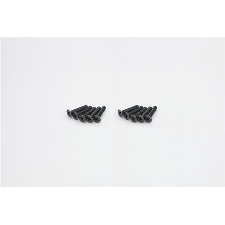 FLAT HEAD 4X20MM METALLIC SCREWS (10)