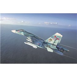 Su-33 Sea Flanker