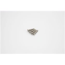 TITAN FLAT HEAD SCREWS 4X20MM (4)
