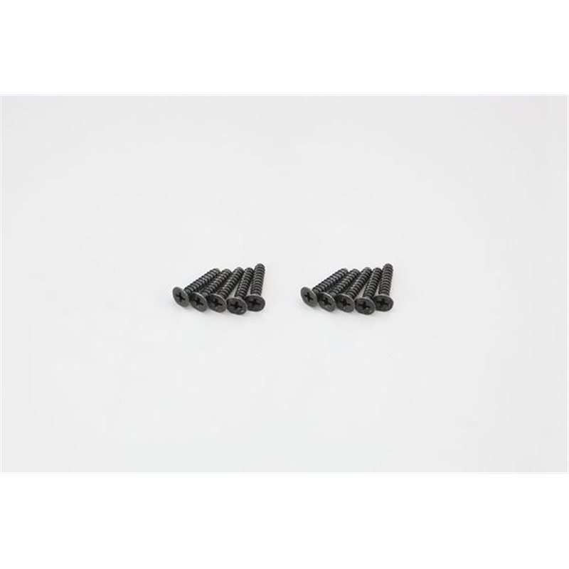 FLAT HEAD TP SCREWS 4X20MM (10)