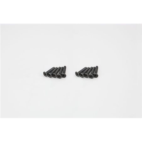 FLAT HEAD TP SCREWS 4X20MM (10)