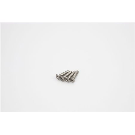 TITAN FLAT HEAD TP SCREWS 4X20MM (4)