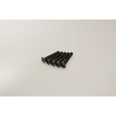 Hex Flat Head Screws 4x25mm (5)
