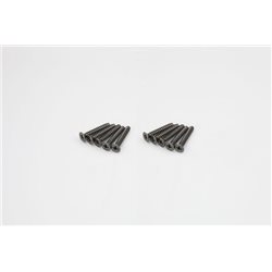 FLAT HEAD TP SCREWS 4X25MM (10)