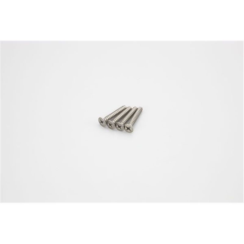 TITAN FLAT HEAD TP SCREWS 4X25MM (4)