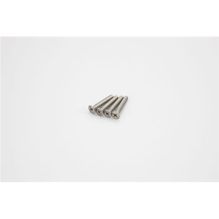 TITAN FLAT HEAD TP SCREWS 4X25MM (4)