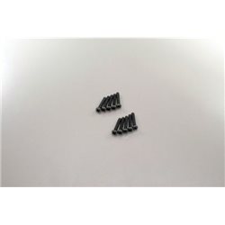 ROUND HEAD 2X10MM METALLIC SCREWS (10)