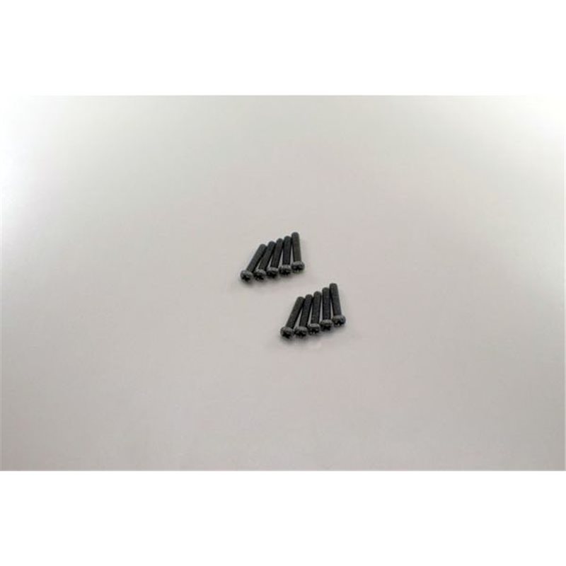 ROUND HEAD 2X10MM METALLIC SCREWS (10)