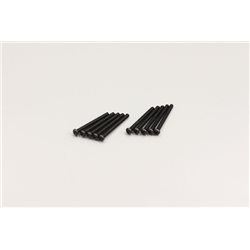 ROUND HEAD 2.6X25MM METALLIC SCREWS (10)