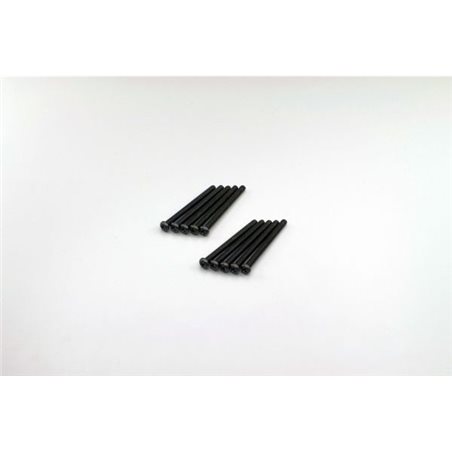 ROUND HEAD 2.6X30MM METALLIC SCREWS (10)