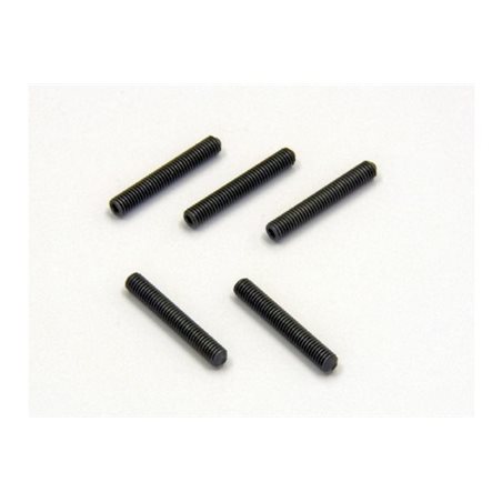 METALLIC HEADLESS SET SCREWS 3X20MM (5)