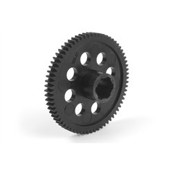 Spur Gear