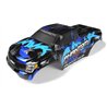 Painted Body Phantom MT