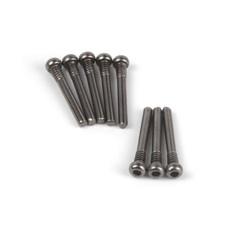 Screw Shaft M2.5x20.5mm (Hex Socket/8pcs)