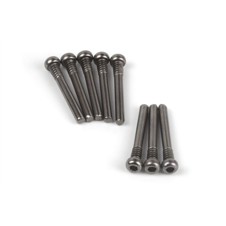 Screw Shaft M2.5x20.5mm (Hex Socket/8pcs)
