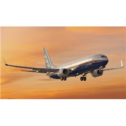 Boeing 737-800 1:289