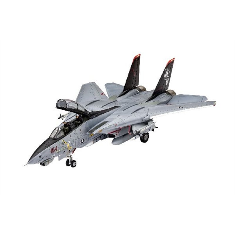 Grumman F-14D Super Tomcat