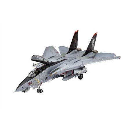 Grumman F-14D Super Tomcat