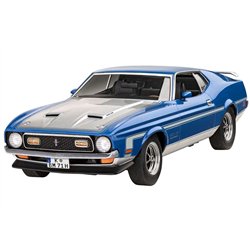 72 Ford Mustang Boss 351