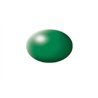 Silk Leaf Green(RAL 6001)Aqua Color Acrylic 18ml