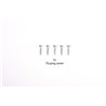 SELF-TAPPING SCREW 2.6X10 (5)