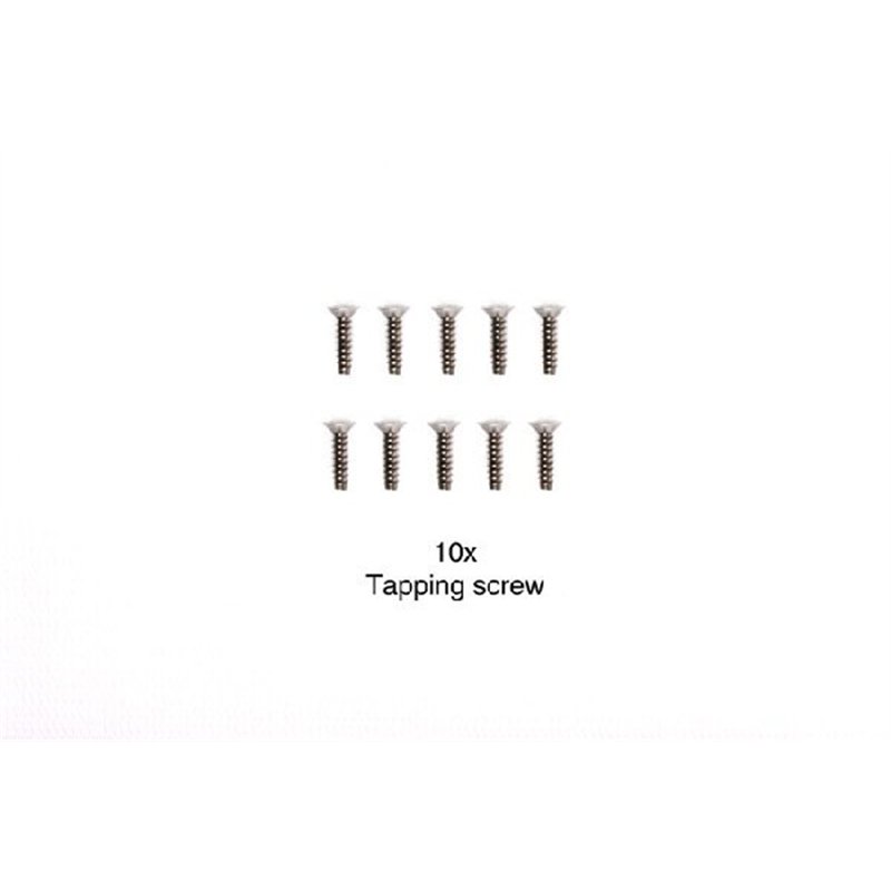 SELF-TAPPING SCREW 3X12 (10)