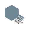 TS-48 Gunship Grey (Flat)