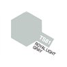 TS-81 Royal Light Gray (Flat)