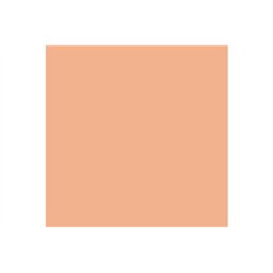 Pigments fresh rust 35ml