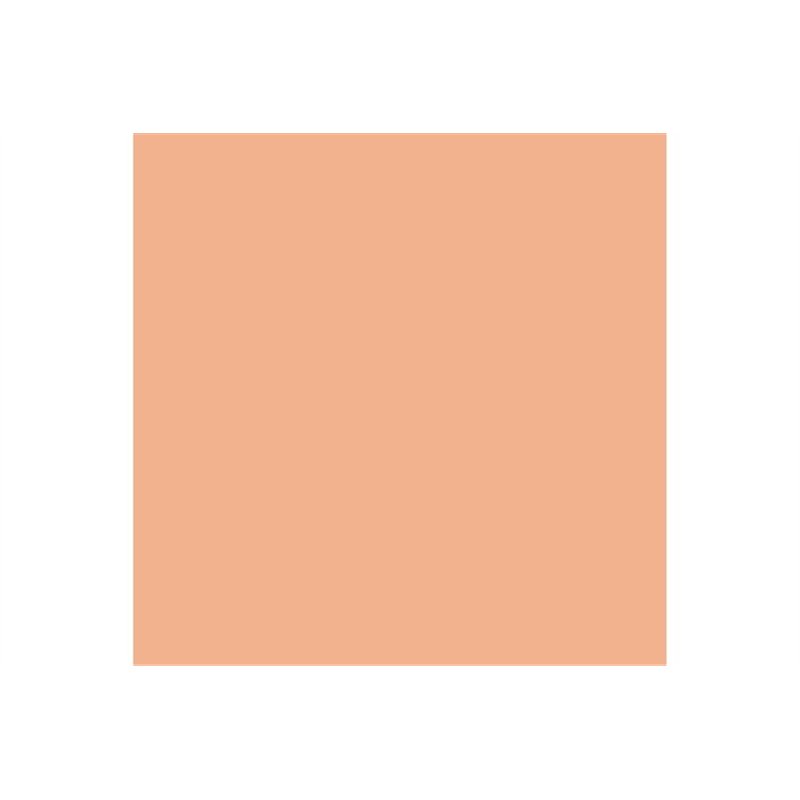 Pigments fresh rust 35ml