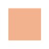 Pigments fresh rust 35ml
