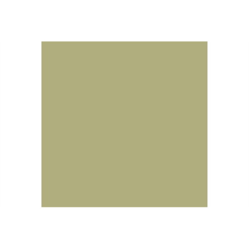 Pigments faded olive green 35ml
