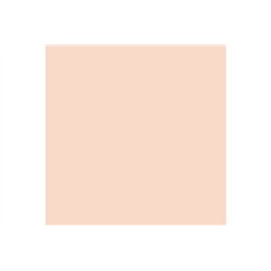 Mecha Color - Light Flesh 17 ml.