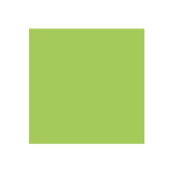 Mecha Color- Green Fluorescent 17 ml.