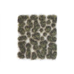 Wild Tuft - Burned 6 mm.