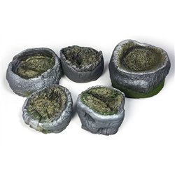 Palm Stumps