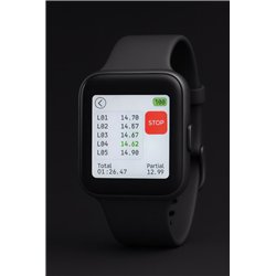 IWI Pit Watch