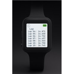 IWI Pit Watch