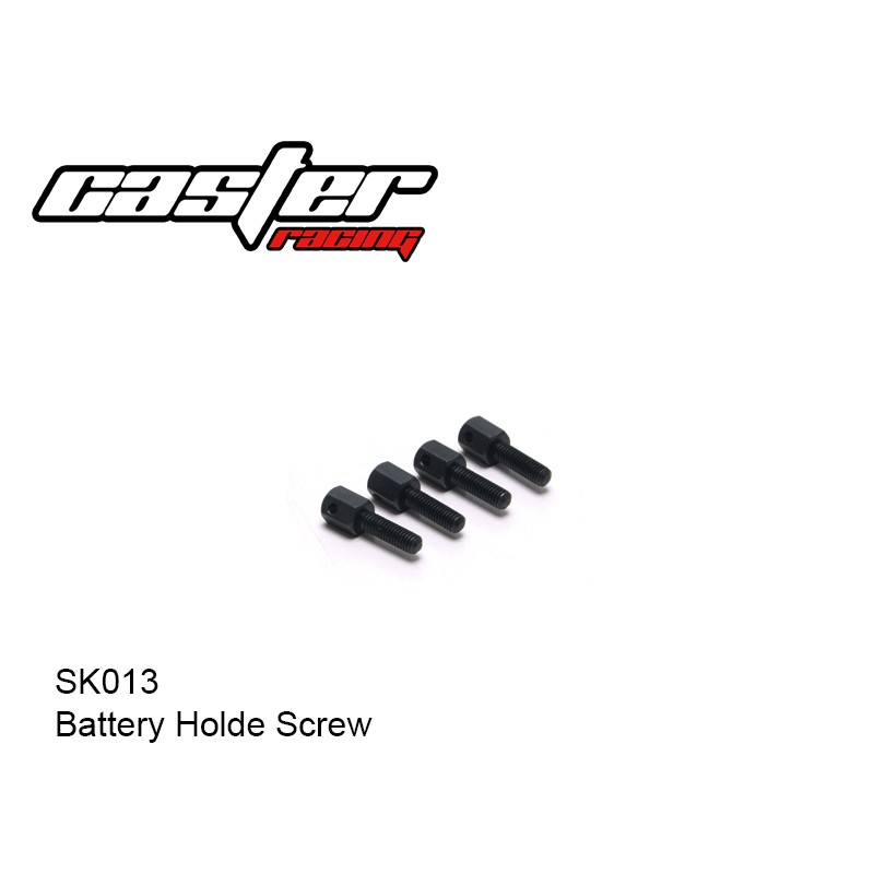 BATTERY HOLDE SCREW