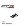 BATTERY HOLDE SCREW