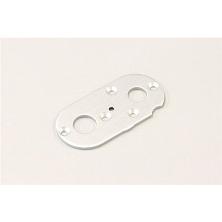 MOTOR PLATE SCORPION 2014